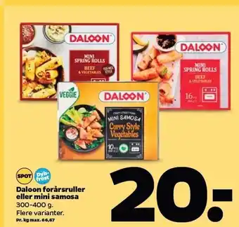 Netto Daloon forårsruller el. mini samosa tilbud