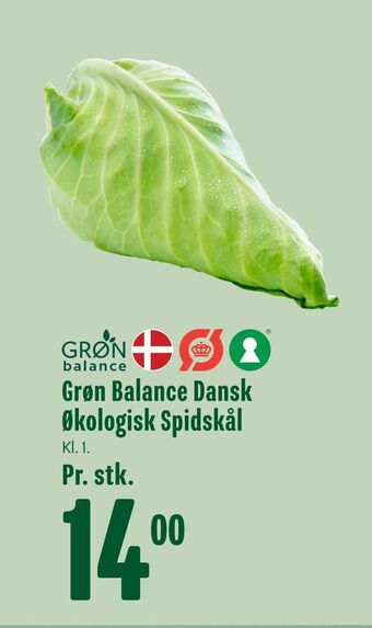 Min Købmand Grøn balance dansk økologisk spidskål tilbud