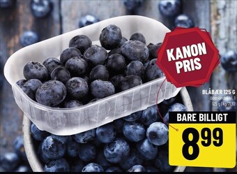 Løvbjerg Blåbær tilbud