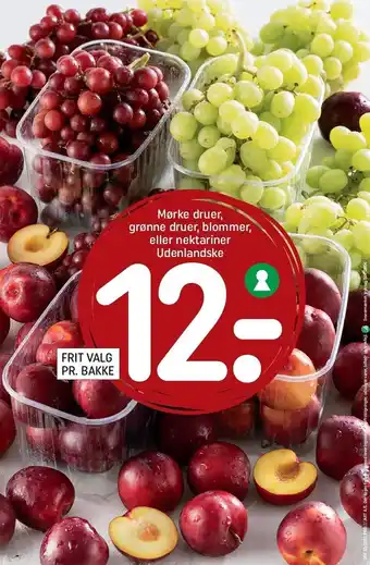 REMA 1000 Mørke druer, grønne druer, blommer el. udenlandske nektariner tilbud