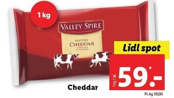 Cheddar