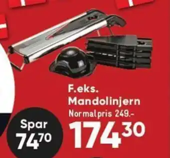 F.eks Mandolinjern