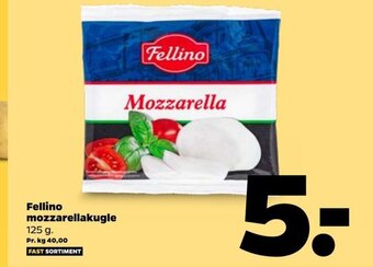 Fellino Mozzarellakugle