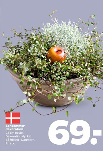 Netto Sensommer Dekoration tilbud