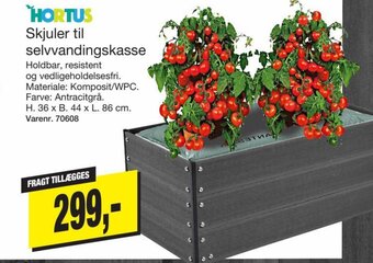 Harald Nyborg Skjuler til Selvvandingskasse tilbud