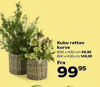 Kvickly Kubu rattan kurve tilbud