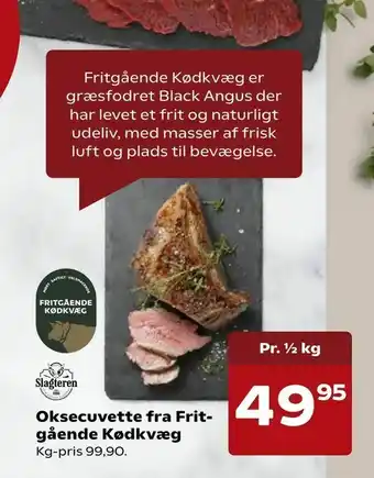 Oksecuvette fra Fritgående Kødkvæg