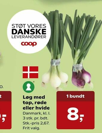 Løg med top, røde eller hvide