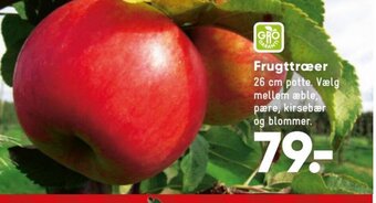 Bilka Frugttræer tilbud