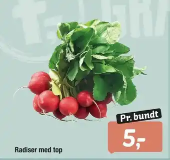 Radiser med top