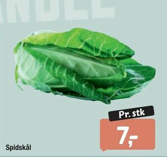 Spidskål