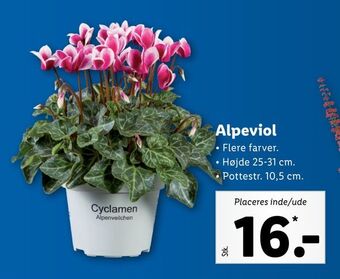 Alpeviol