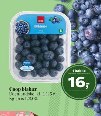 Dagli'Brugsen Coop blåbær tilbud