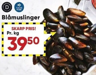 Blåmuslinger