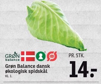 SPAR Grøn balance dansk økologisk spidskål tilbud