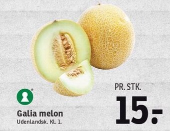 SPAR Galia melon tilbud