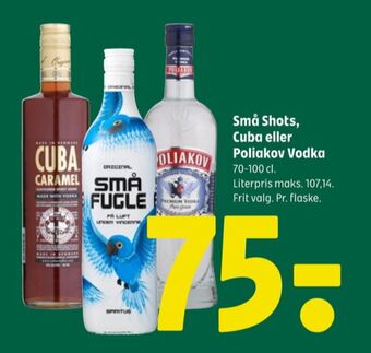 Små fugle shots