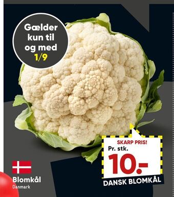 Bilka Blomkål tilbud
