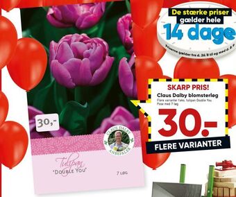 Bilka Claus dalby blomsterløg tilbud