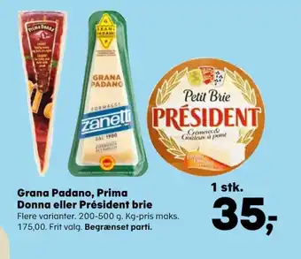 Prima donna specialost