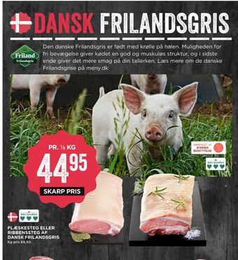 Friland frilandsgris grisekam