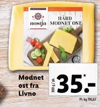 Modnet ost fra livno