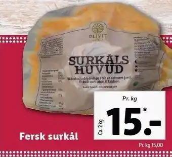 Fersk surkål