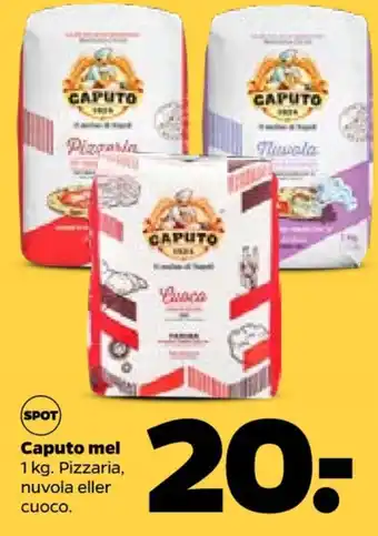 Caputo pizzamel
