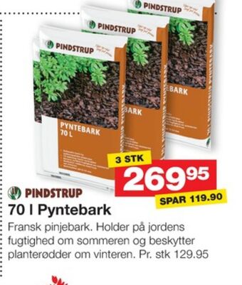 Pindstrup pyntebark