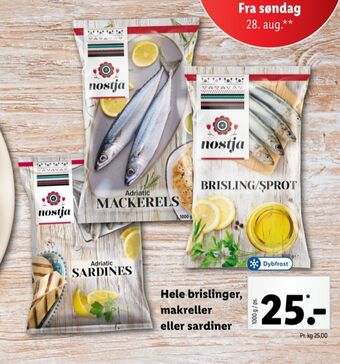Lidl Nostja sardiner tilbud