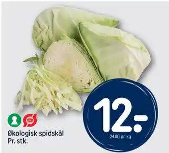 REMA 1000 Grøn balance spidskål tilbud