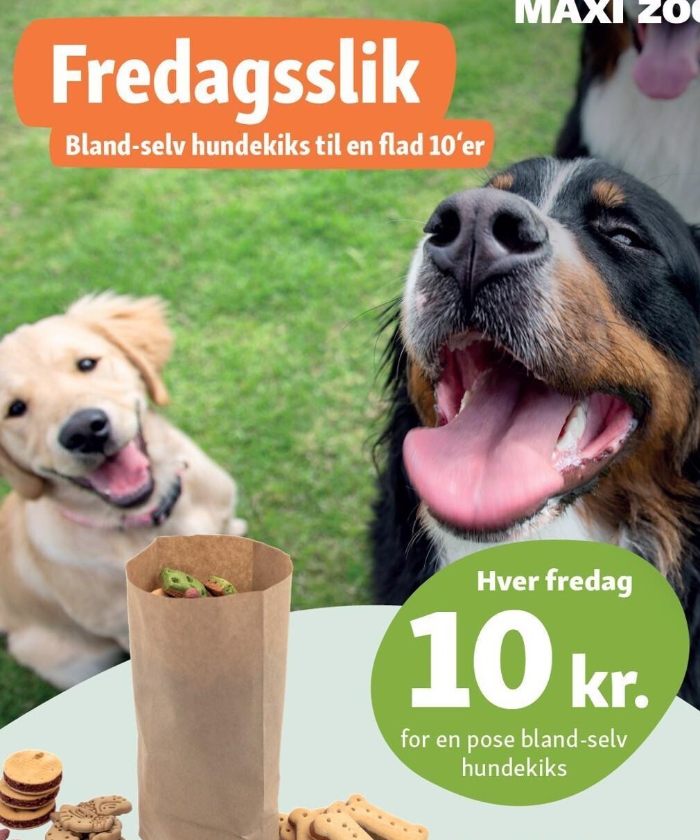 Fredagsslik tilbud hos Maxi Zoo