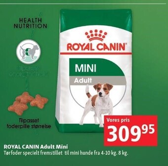 Maxi Zoo Royal canin adult mini tilbud