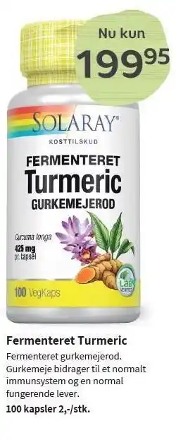 Helsam Fermeneteret turmeric tilbud