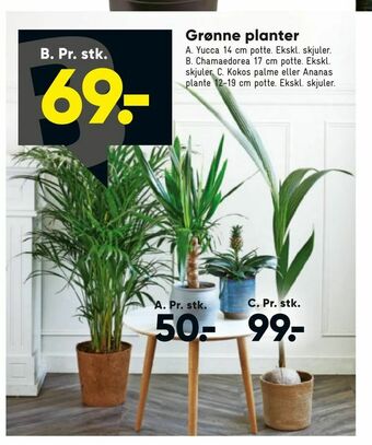 Bilka Grønne planter tilbud