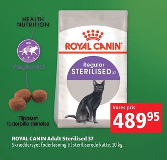 Maxi Zoo Royal canin adult sterilised 37 tilbud