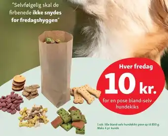For en pose bland-selv hundekiks