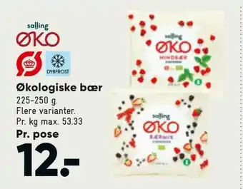Bilka Økologiske bær tilbud