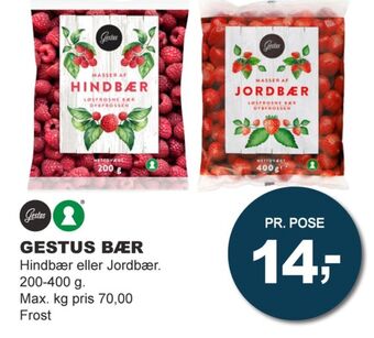 Gestus bær