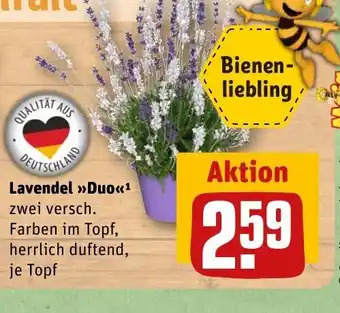 REWE DE Lavendel Duo tilbud