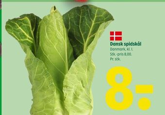 Coop 365 Dansk spidskål tilbud