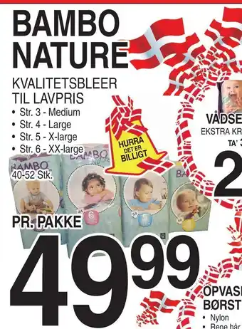 Bambo nature