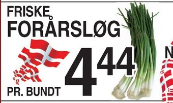 Friske forårsløg
