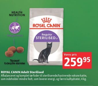 Maxi Zoo Royal canin kattefoder tilbud