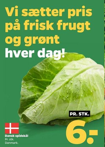 Netto Dansk spidskål tilbud