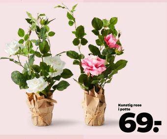 Netto Kunstig rose i potte tilbud