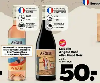 Netto Angele Rosé eller Pinot Noir tilbud