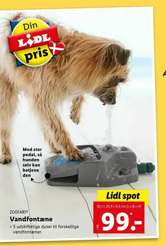 Vandfontæne
