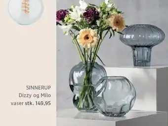 Dizzy og milo