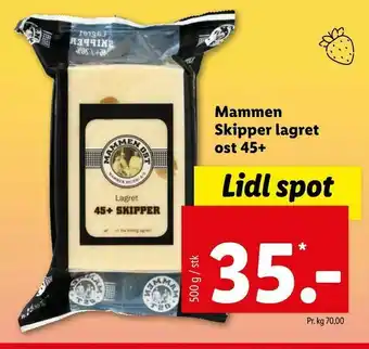 Let-Køb Mammen Skipper lagret ost 45+ tilbud